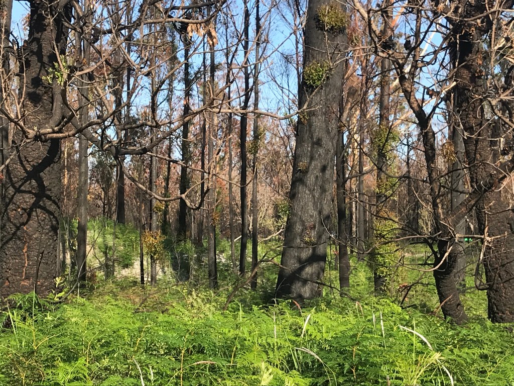 When Writers Get&nbsp;Together