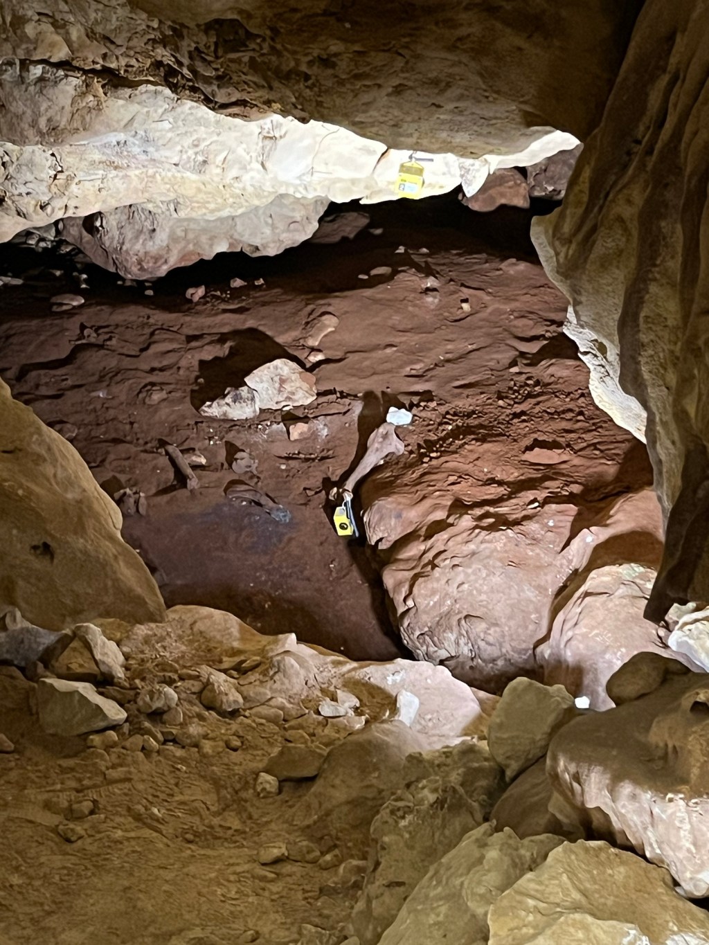 Naracoorte and Caves