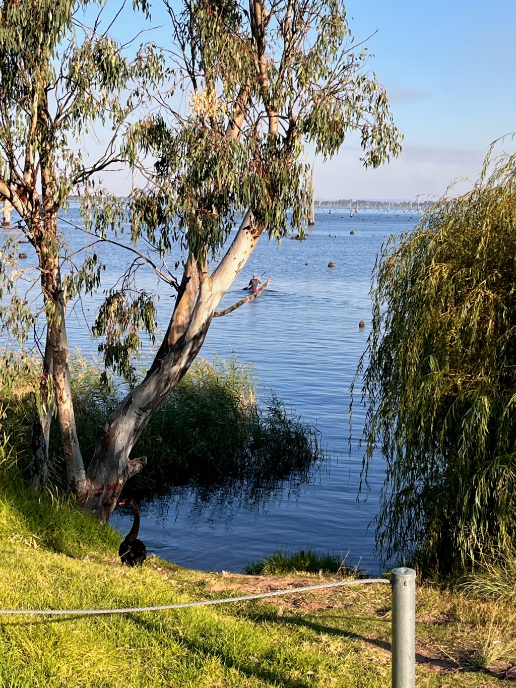 Lake Mulwala