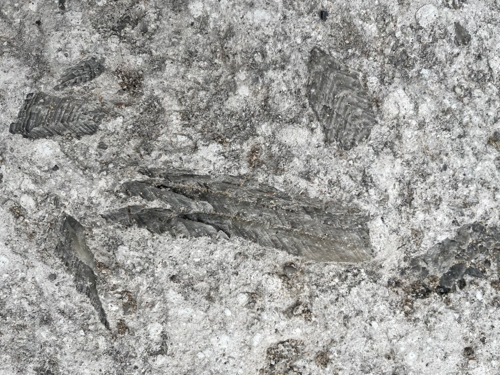 Yorke Peninsula, SA – part 1.