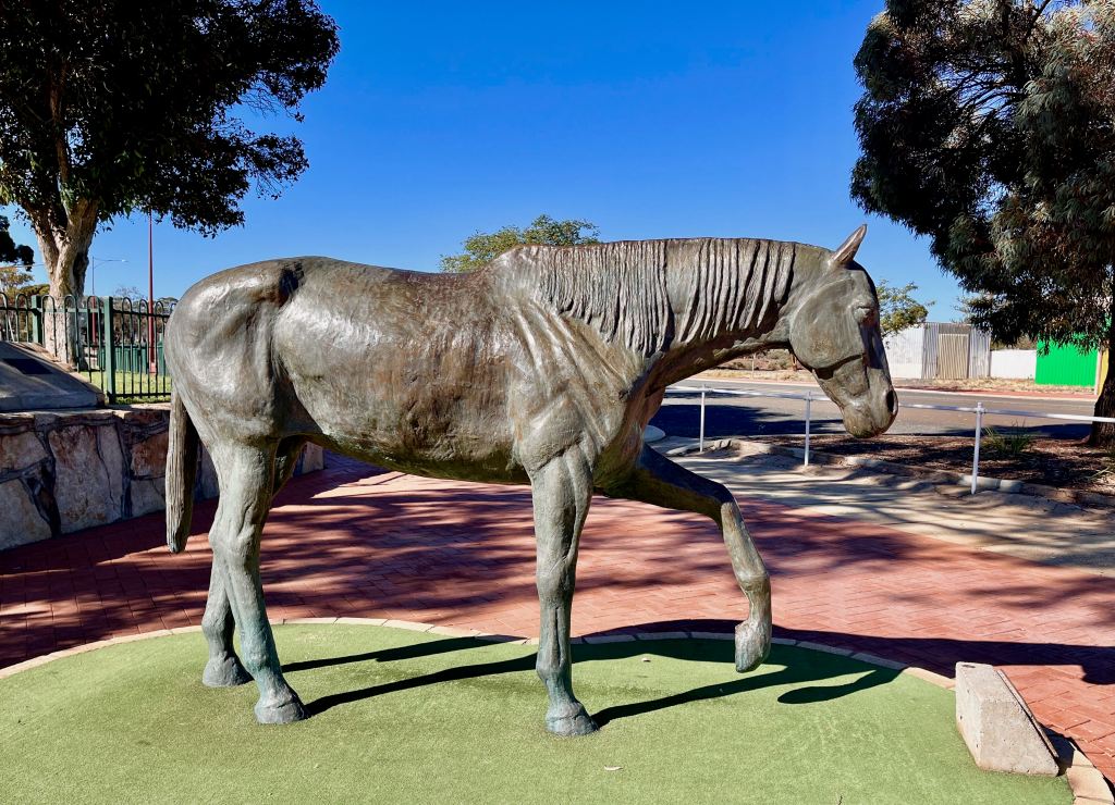 Norseman and Esperance