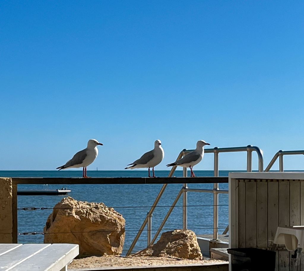 Cervantes and Milligans Island (Green&nbsp;Head)