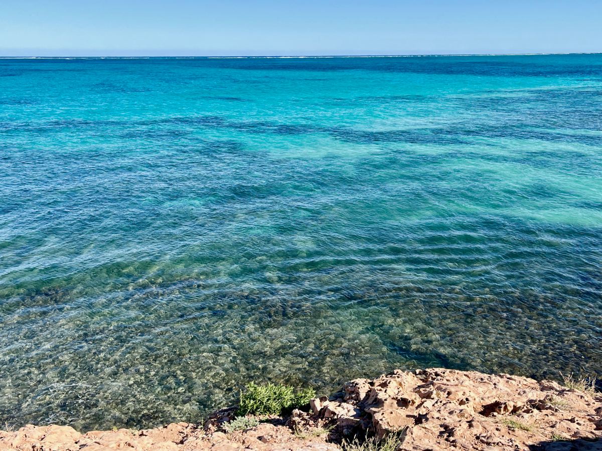 Coral Bay (Nigaloo&nbsp;Reef)