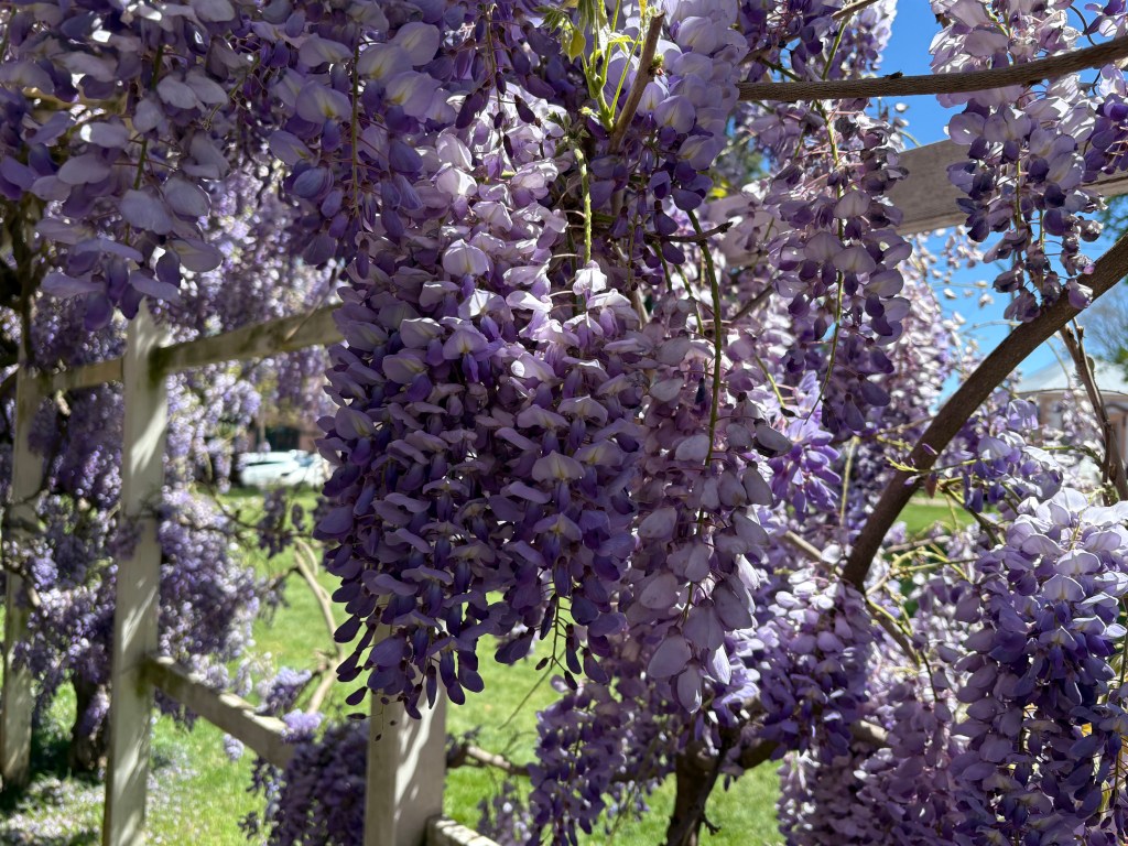 We Made it Through! And New&nbsp;Adventures.